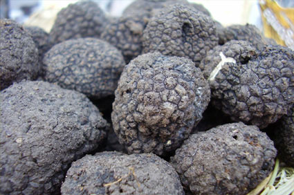 Varias trufas negras