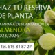 Campaña de almendra 2023/2024 ESLA