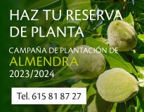 reserva planta de almendro 2023-2024