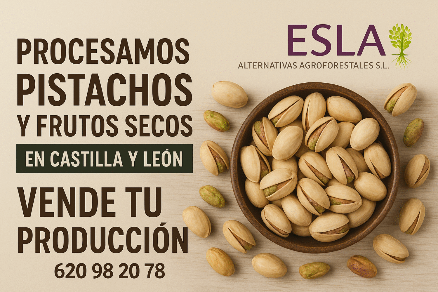 compra venta pistachos y almendras 2025-2026