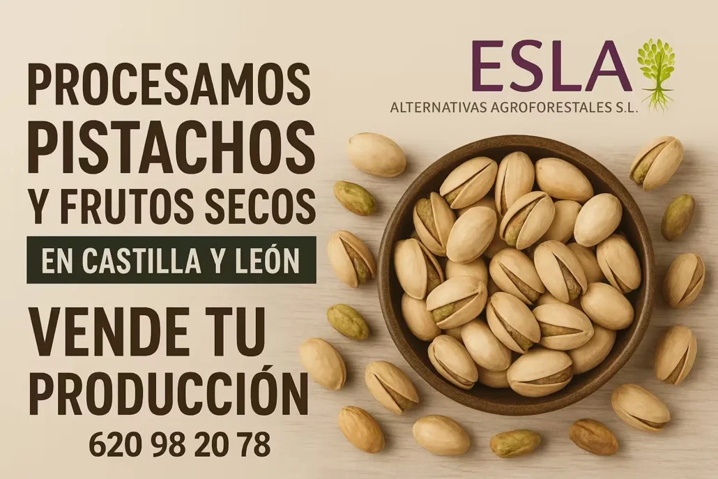 ESLA Procesamos y Compramos tus pistachos y almendras en Castilla y Leon
