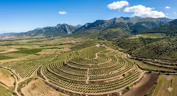 La tabla de viabilidad por altitud (600m - 900m)