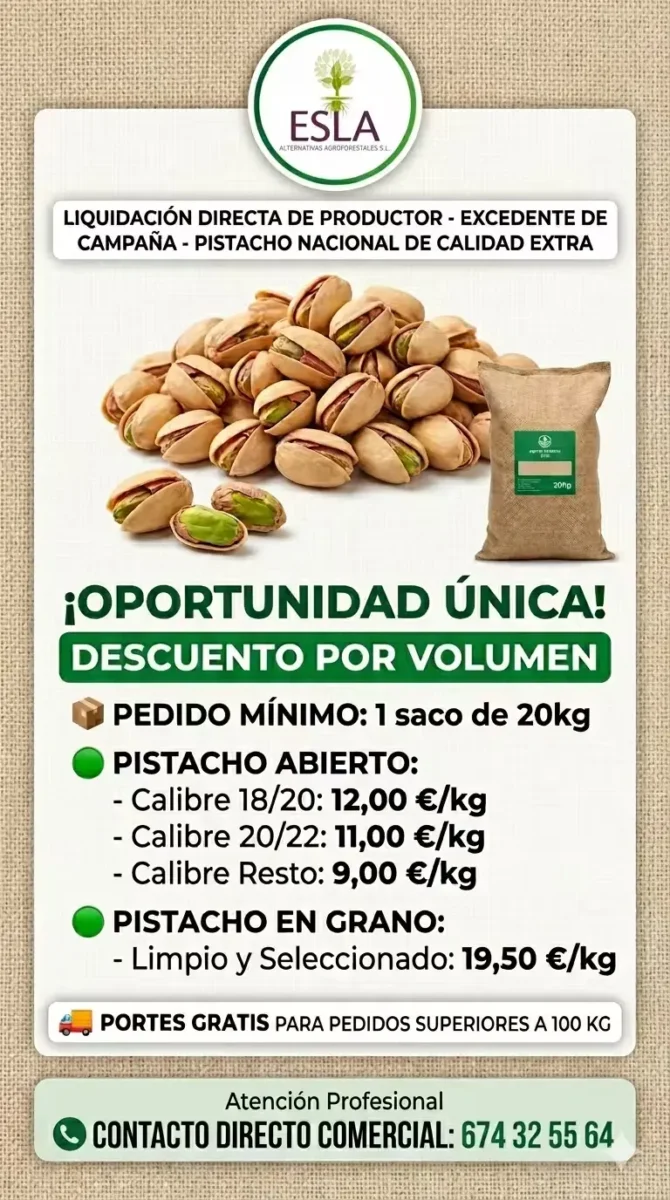 Sacos de pistacho de 25kg listos para envío en la planta de Agroforestales ESLA en Villalpando